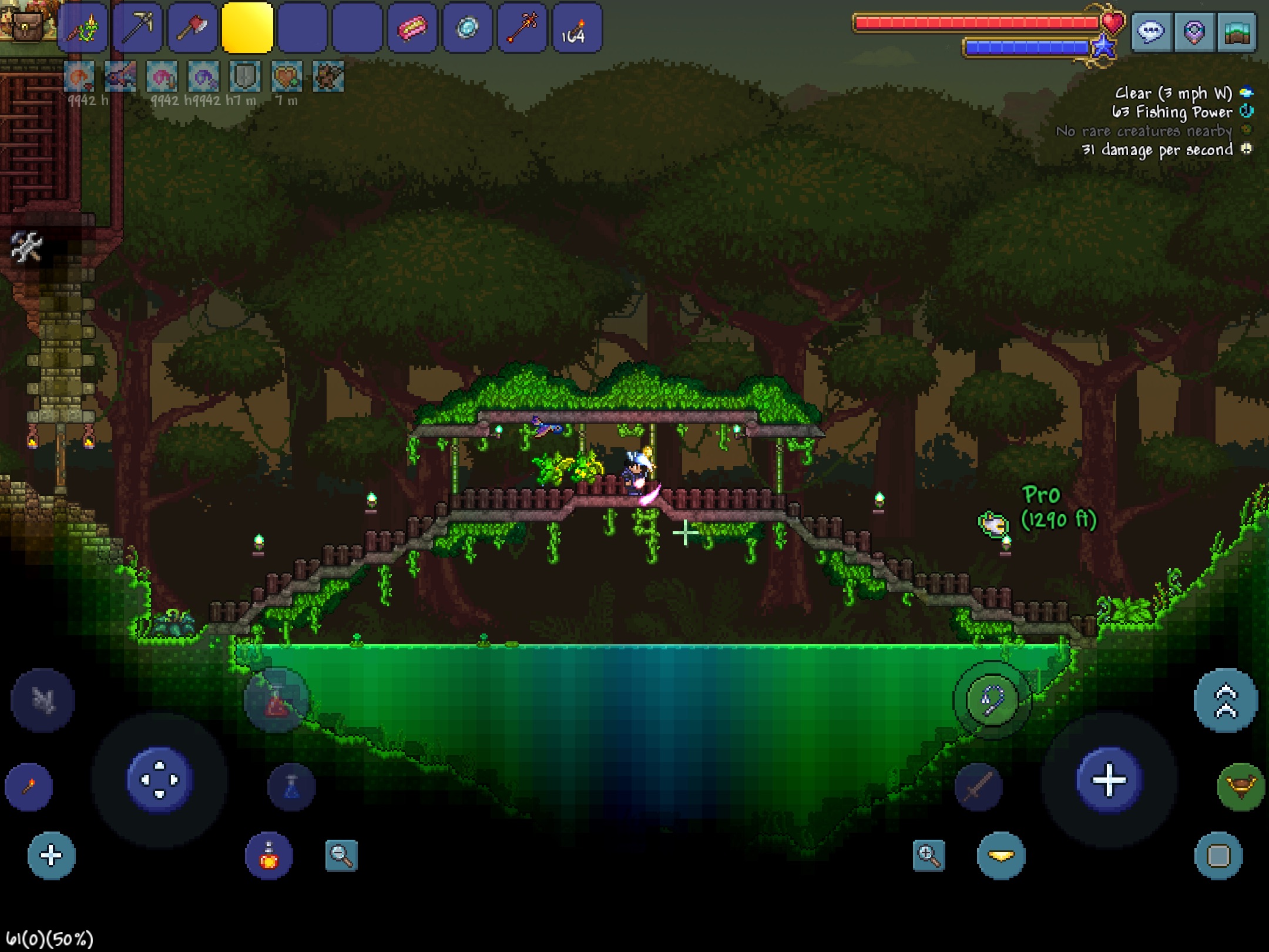 jungle bridge